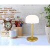 Illuminazione Globo Lighting Norman Lampada da tavolo LED Ottone, 1-Luce