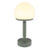 Illuminazione Globo Lighting Haku Lampada da tavolo LED Verde, 1-Luce