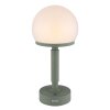 Illuminazione Globo Lighting Haku Lampada da tavolo LED Verde, 1-Luce