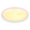 Illuminazione Globo Lighting Tyrone Plafoniera LED Bianco, 1-Luce
