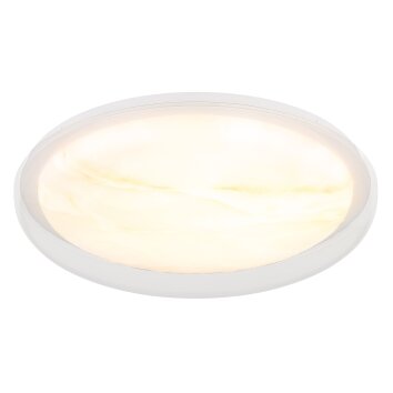 Illuminazione Globo Lighting Tyrone Plafoniera LED Bianco, 1-Luce