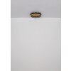 Illuminazione Globo Lighting Hedi Plafoniera LED Oro, Nero, 1-Luce