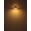 Illuminazione Globo Lighting Luffy Plafoniera LED Oro, Nero, 1-Luce