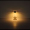 Illuminazione Globo Lighting Wanda Lampada da tavolo LED Trasparente, chiaro, 1-Luce