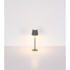 Illuminazione Globo Lighting I Lampada da tavolo LED Champagne, 1-Luce