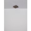 Illuminazione Globo Lighting Hayden Plafoniera LED Écru, Nero, 1-Luce