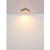 Illuminazione Globo Lighting Hayden Plafoniera LED Écru, Nero, 1-Luce, Telecomando