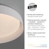 Illuminazione Leuchten Direkt OSKO Plafoniera LED Bianco, 1-Luce, Telecomando