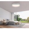 Illuminazione Leuchten Direkt OSKO Plafoniera LED Bianco, 1-Luce, Telecomando