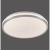Illuminazione Leuchten Direkt KYLE Plafoniera LED Argento, 1-Luce