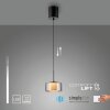 Illuminazione Paul Neuhaus Rika Lampada a sospensione LED Nero, 1-Luce