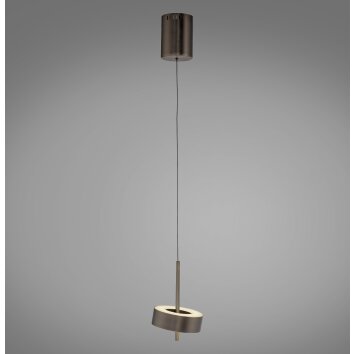 Paul Neuhaus Q-Serie Q-Rotate Lampada a sospensione LED Marrone, 1-Luce, Telecomando