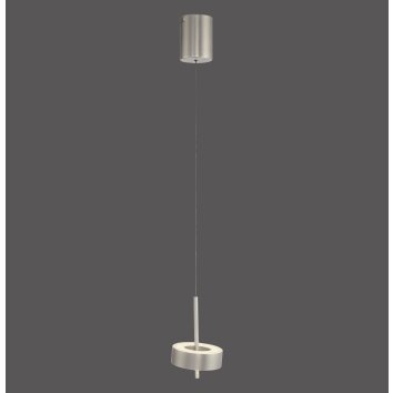 Paul Neuhaus Q-Serie Q-Rotate Lampada a sospensione LED Argento, 1-Luce, Telecomando