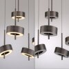 Illuminazione Paul Neuhaus Q-Rotate Lampada a sospensione LED Marrone, 5-Luci, Telecomando