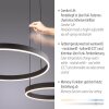 Illuminazione Paul Neuhaus Esko Lampada a sospensione LED Nero, 2-Luci, Telecomando