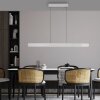 Illuminazione Paul Neuhaus Round Lampada a sospensione LED Alluminio, 2-Luci