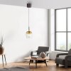 Illuminazione Paul Neuhaus Q-Kon Lampada a sospensione LED Marrone, 1-Luce, Telecomando