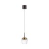 Illuminazione Paul Neuhaus Q-Kon Lampada a sospensione LED Marrone, 1-Luce, Telecomando