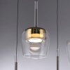 Illuminazione Paul Neuhaus Q-Kon Lampada a sospensione LED Marrone, 1-Luce, Telecomando