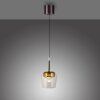 Illuminazione Paul Neuhaus Q-Kon Lampada a sospensione LED Marrone, 1-Luce, Telecomando