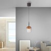 Paul Neuhaus Q-Serie Q-Kon Lampada a sospensione LED Marrone, 1-Luce, Telecomando Paul Neuhaus Q-Serie Q-Kon Lampada a sospensione LED Marrone, 1-Luce, Telecomando