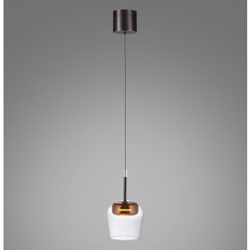 Paul Neuhaus Q-Serie Q-Kon Lampada a sospensione LED Marrone, 1-Luce, Telecomando