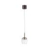 Illuminazione Paul Neuhaus Q-Kon Lampada a sospensione LED Marrone, 1-Luce, Telecomando