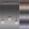 Paul Neuhaus Q-Serie Q-Kon Lampada a sospensione LED Marrone, 3-Luci, Telecomando