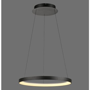 Illuminazione Paul Neuhaus Hoop Lampada a sospensione LED Nero, 1-Luce