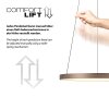 Illuminazione Paul Neuhaus Hoop Lampada a sospensione LED Marrone, 1-Luce