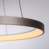 Illuminazione Paul Neuhaus Hoop Lampada a sospensione LED Marrone, 1-Luce