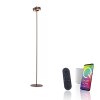Illuminazione Paul Neuhaus Q-Rotate Lampada da terra LED Marrone, 1-Luce, Telecomando