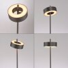 Illuminazione Paul Neuhaus Q-Rotate Lampada da terra LED Marrone, 1-Luce, Telecomando