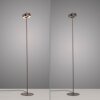Illuminazione Paul Neuhaus Q-Rotate Lampada da terra LED Marrone, 1-Luce, Telecomando