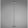 Paul Neuhaus Q-Serie Q-Rotate Lampada da terra LED Marrone, 1-Luce, Telecomando