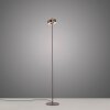 Paul Neuhaus Q-Serie Q-Rotate Lampada da terra LED Marrone, 1-Luce, Telecomando