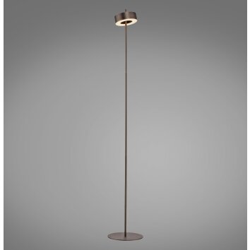 Illuminazione Paul Neuhaus Q-Rotate Lampada da terra LED Marrone, 1-Luce, Telecomando