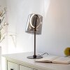 Illuminazione Paul Neuhaus Zula Lampada da tavolo LED Nero, 1-Luce