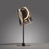 Illuminazione Paul Neuhaus Zula Lampada da tavolo LED Nero, 1-Luce