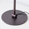 Illuminazione Paul Neuhaus Zula Lampada da tavolo LED Nero, 1-Luce