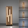 Paul Neuhaus Q-Serie Q-Akustik Lampada da tavolo LED Marrone, Nero, 1-Luce, Telecomando
