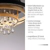 Illuminazione Paul Neuhaus Rotazo Plafoniera LED Oro, Nero, 1-Luce