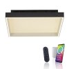 Paul Neuhaus Q-Serie Q-Magong Plafoniera LED Nero, 1-Luce, Telecomando Paul Neuhaus Q-Serie Q-Magong Plafoniera LED Nero, 1-Luce, Telecomando