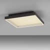 Paul Neuhaus Q-Serie Q-Magong Plafoniera LED Nero, 1-Luce, Telecomando Paul Neuhaus Q-Serie Q-Magong Plafoniera LED Nero, 1-Luce, Telecomando