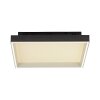 Paul Neuhaus Q-Serie Q-Magong Plafoniera LED Nero, 1-Luce, Telecomando Paul Neuhaus Q-Serie Q-Magong Plafoniera LED Nero, 1-Luce, Telecomando