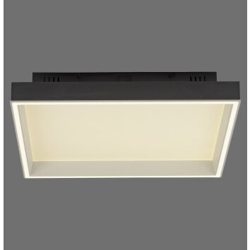 Paul Neuhaus Q-Serie Q-Magong Plafoniera LED Nero, 1-Luce, Telecomando