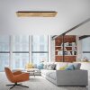 Paul Neuhaus Q-Serie Q-Akustik Applique e plafoniera LED Marrone, Nero, 1-Luce, Telecomando