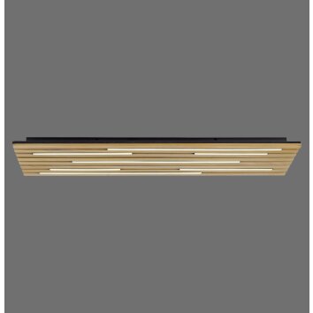 Paul Neuhaus Q-Serie Q-Akustik Applique e plafoniera LED Marrone, Nero, 1-Luce, Telecomando