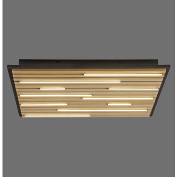 Paul Neuhaus Q-Serie Q-Akustik Applique e plafoniera LED Marrone, Nero, 1-Luce, Telecomando