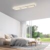 Paul Neuhaus Q-Serie Q-Kalina Plafoniera LED Bianco, 1-Luce, Telecomando